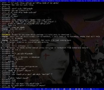 Screenshot of IRC window