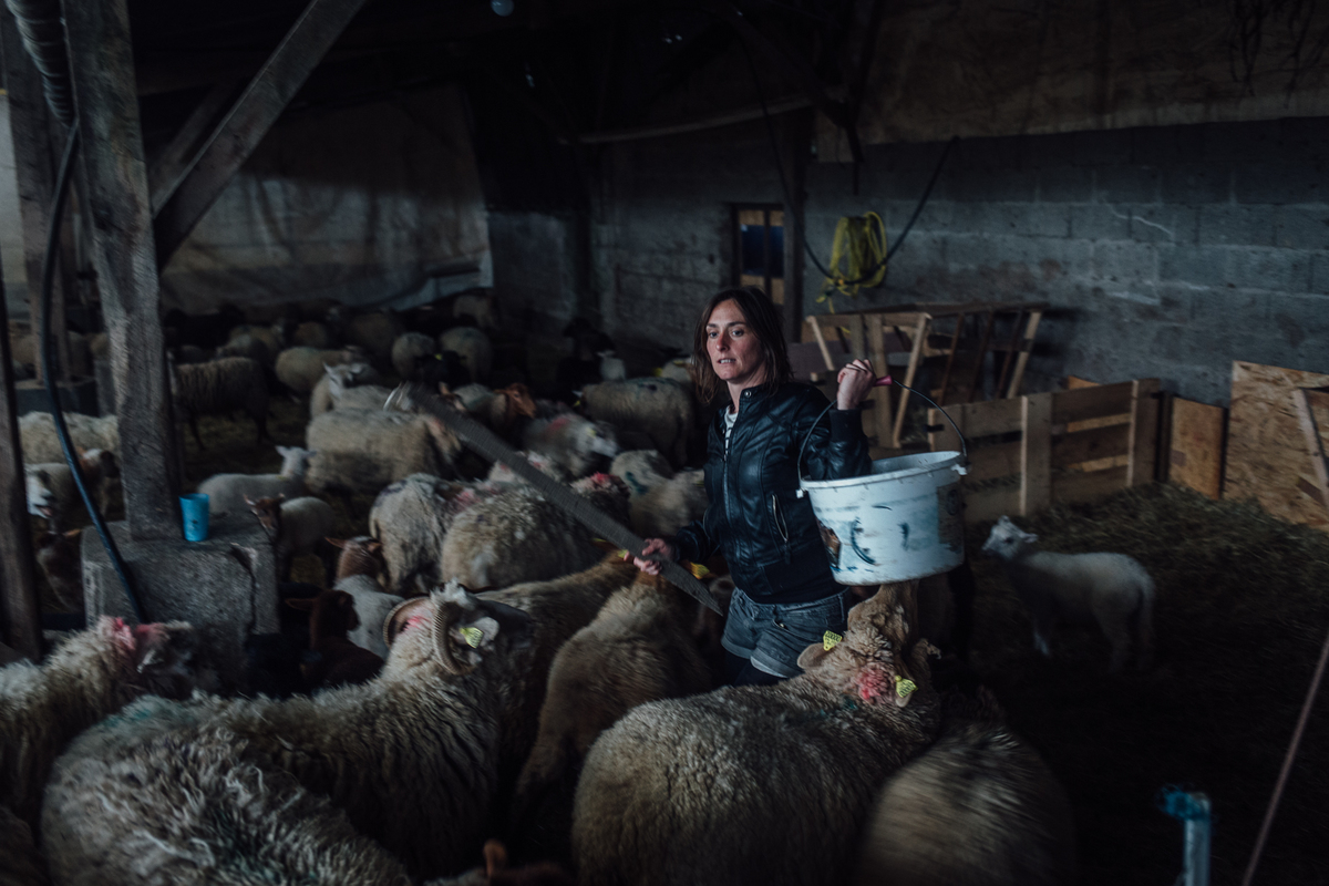 "Cécé", éleveuse de moutons, de retour des pâturages avec son troupeau. - © Cyril Marcilhacy