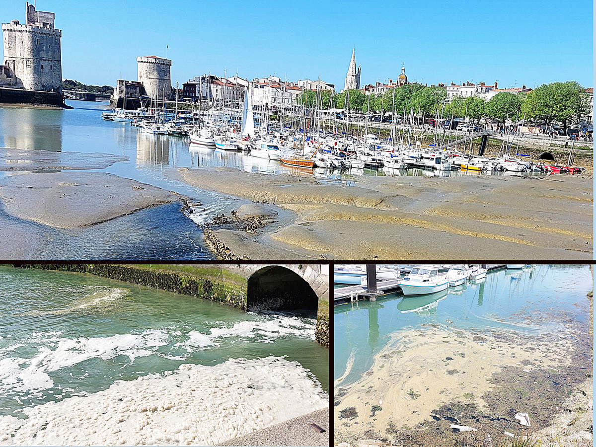 Un bon plan : étudier les boues et rejets du port de la Rochelle - Reflets