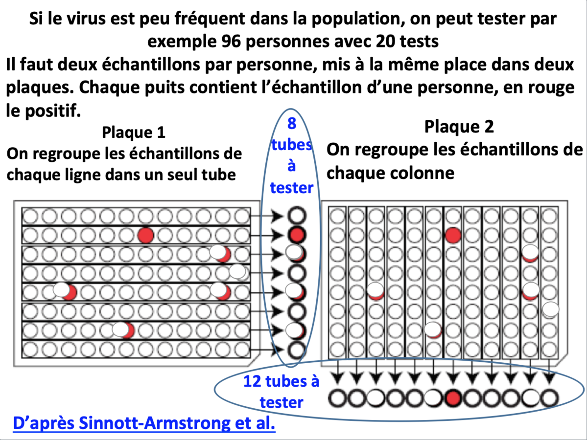 Tester 96 personnes avec 20 tests - Catherine Hill