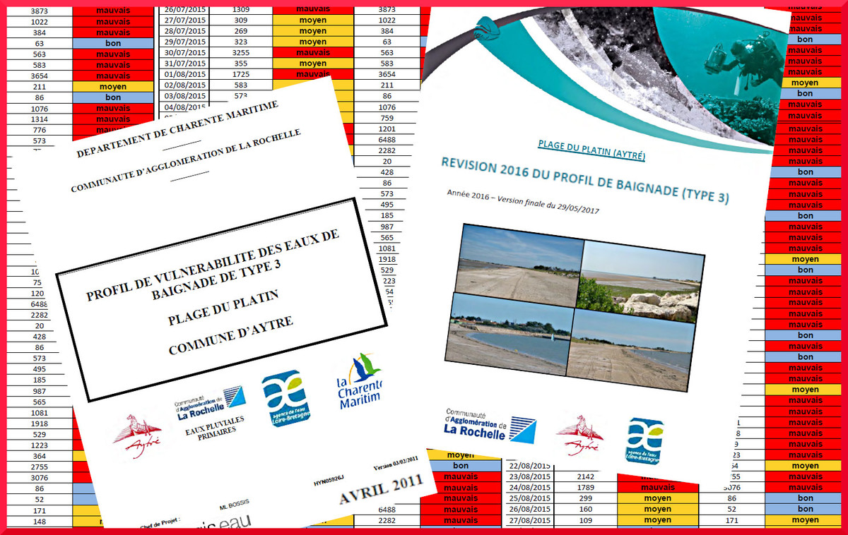 Les mauvais profils d’Aytré en version 2011 et 2017 - Reflets