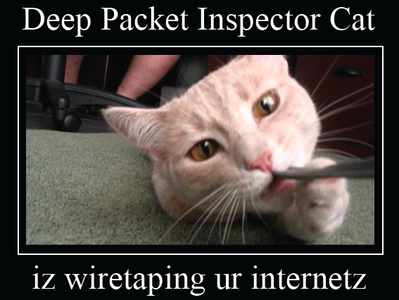 cat-packet-inspector
