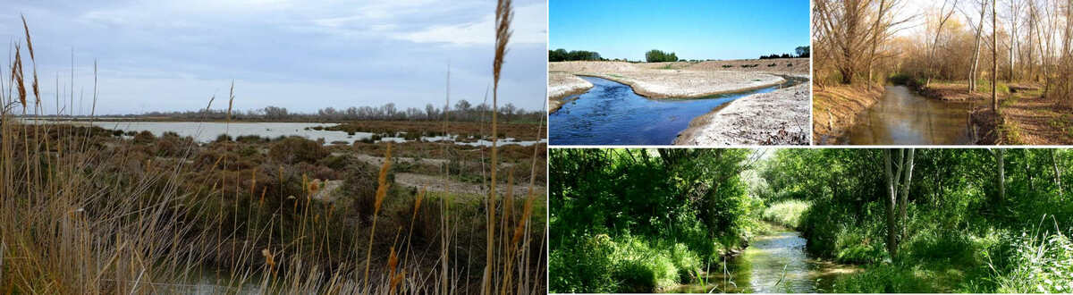 À gauche, paysage de Camargue, très proche de ce que devait être le Vistre avant intervention de l'homme. A droite, l'évolution de la rivière après opération de restauration. - Frédéric Laval - PNG Camargue