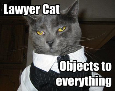 lawyer-lolcat