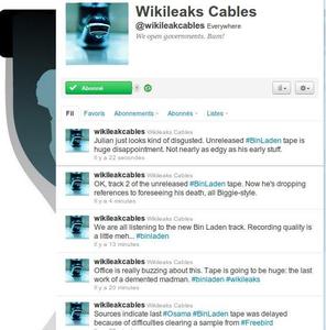 wikileaks cables