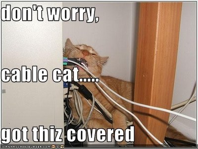 lolcat-cable