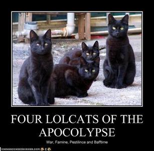 funny-pictures-four-lolcats-of-the-apocalypse