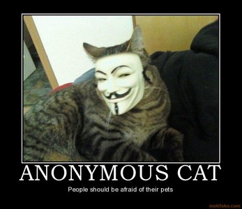 anonymous-cat