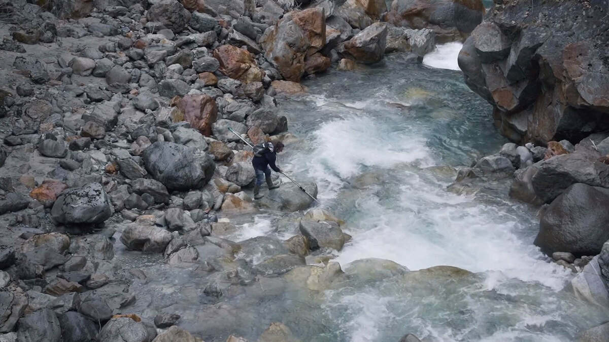 Sur le terrain, des scientifiques, presque savants fous, à l'écoute de la nature  - Marie Lusson