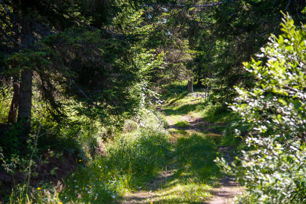 A l'approche du lieu prévu pour la retenue - © Reflets