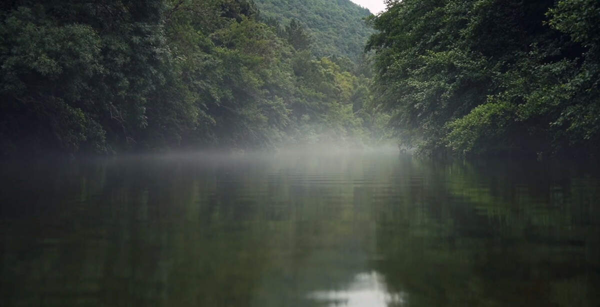 Des brumes se lèvent parfois, masquant les prochains méandres. - Marie Lusson