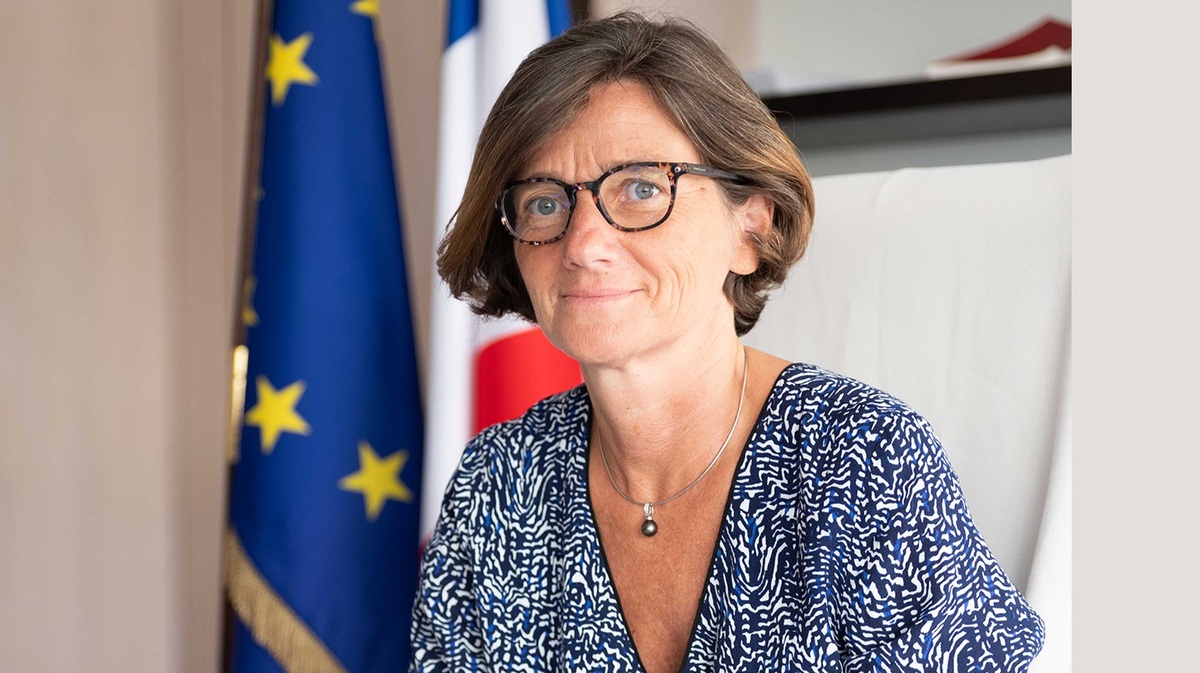 Portrait d'Agnès Firmin Le Bodo - Copie d'écran sur le site du gouvernement