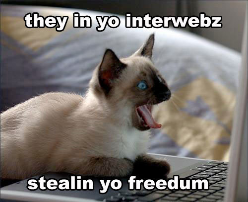 lol-cat-net-neutrality