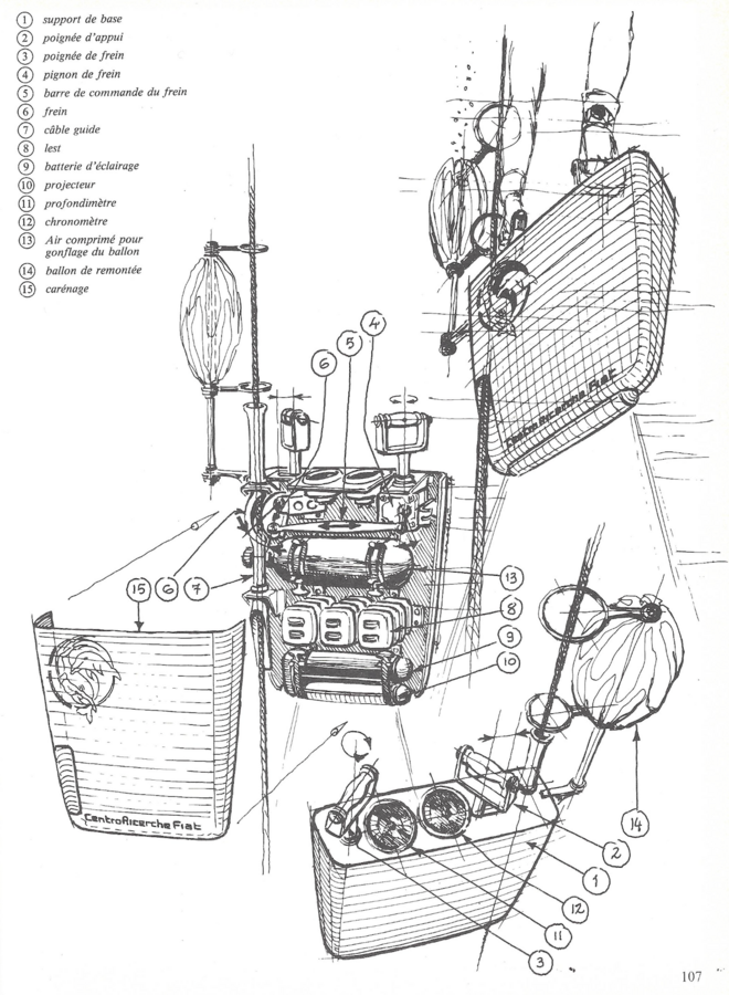 L'un des premiers modèles de gueuse dessinés par Jacques Mayol - Tiré de son livre Homo Delphinus