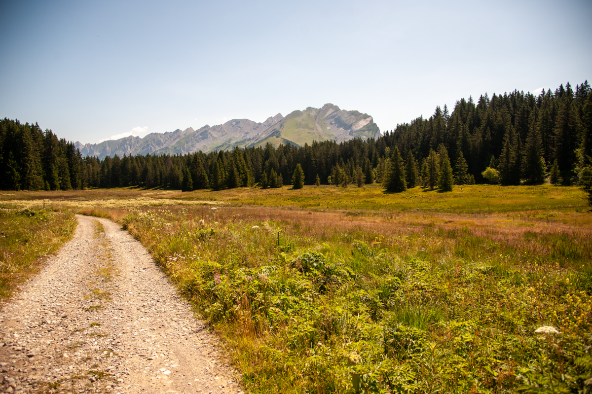 Plateau de Beauregard - © Reflets
