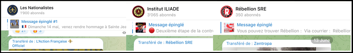 Capture d'écran des boucles Telegram Novelum Carcassonne, Institut Iliade et Rébellion SRE, 2023. - © Reflets